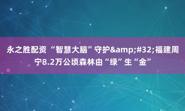 永之胜配资 “智慧大脑”守护&#32;福建周宁8.2万公顷森林由“绿”生“金”