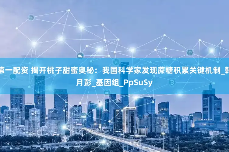 第一配资 揭开桃子甜蜜奥秘：我国科学家发现蔗糖积累关键机制_韩月彭_基因组_PpSuSy