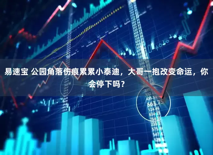 易速宝 公园角落伤痕累累小泰迪，大哥一抱改变命运，你会停下吗？