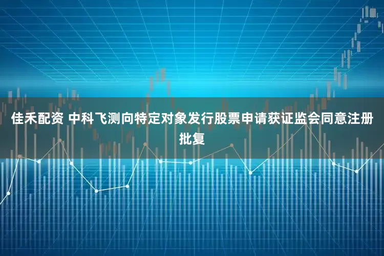 佳禾配资 中科飞测向特定对象发行股票申请获证监会同意注册批复